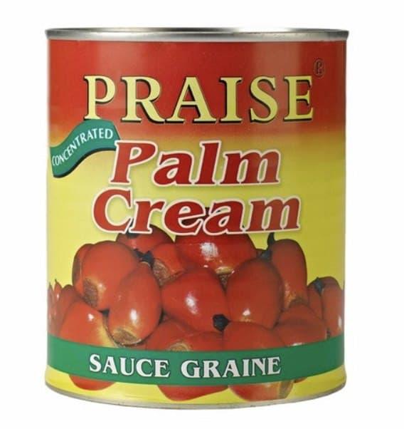 Praise Palm Cream-800G - Best Bargain Wholesale And Retail African Store  online in Canada