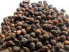 Uziza Seeds-Best Bargain Wholesale and retail