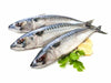 Frozen Mackerel-Best Bargain Wholesale and retail