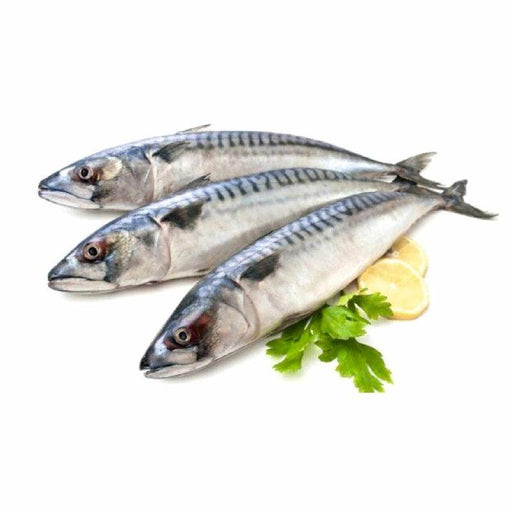 Frozen Mackerel - Best Bargain Wholesale And Retail African Store  online in Canada