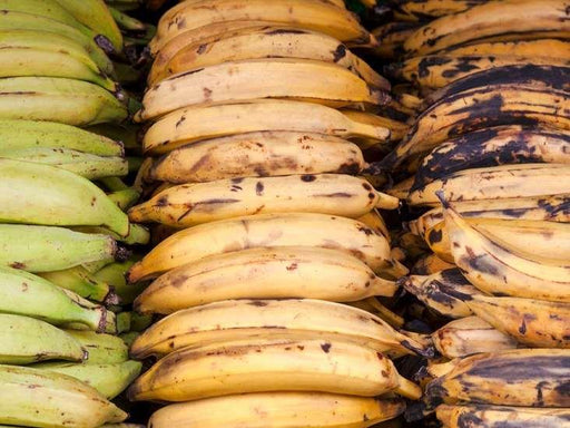 Plantain - Best Bargain Wholesale And Retail African Store  online in Canada
