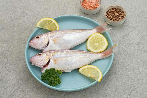 Croaker fish pack-Best Bargain Wholesale and retail