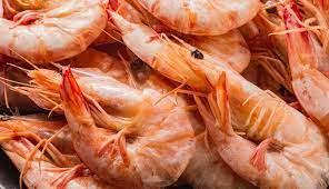 Crayfish (Cray Fish)-Best Bargain Wholesale and retail