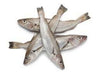 Whitening Fish-Best Bargain Wholesale and retail