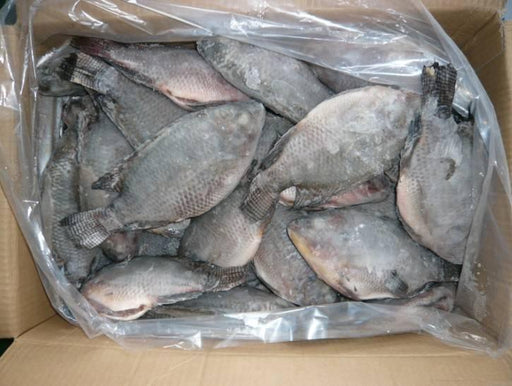 Tilapia Box 5Lb - Best Bargain Wholesale And Retail African Store  online in Canada