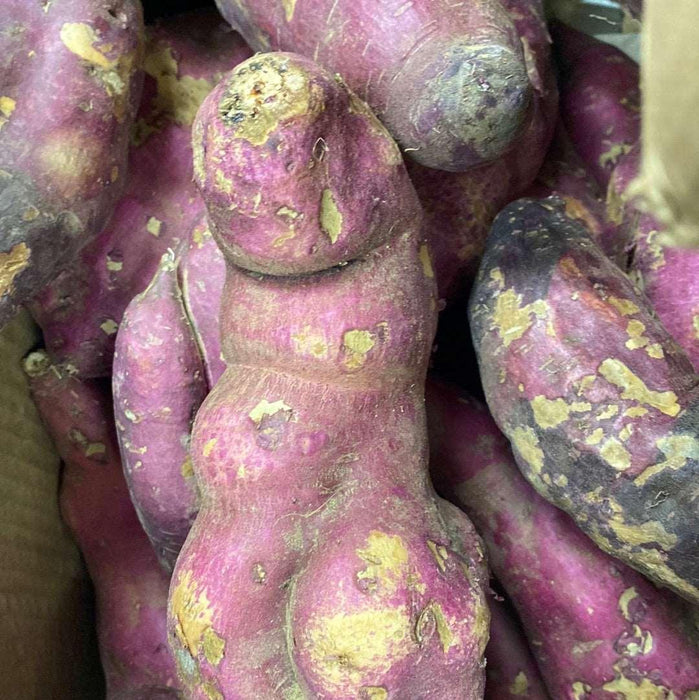 Purple Sweet Potatoes-Best Bargain Wholesale and retail