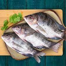 Tilapia Box 5Lb-Best Bargain Wholesale and retail