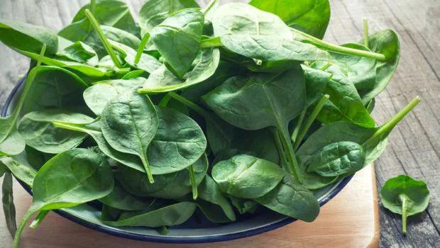 Spinach-Best Bargain Wholesale and retail